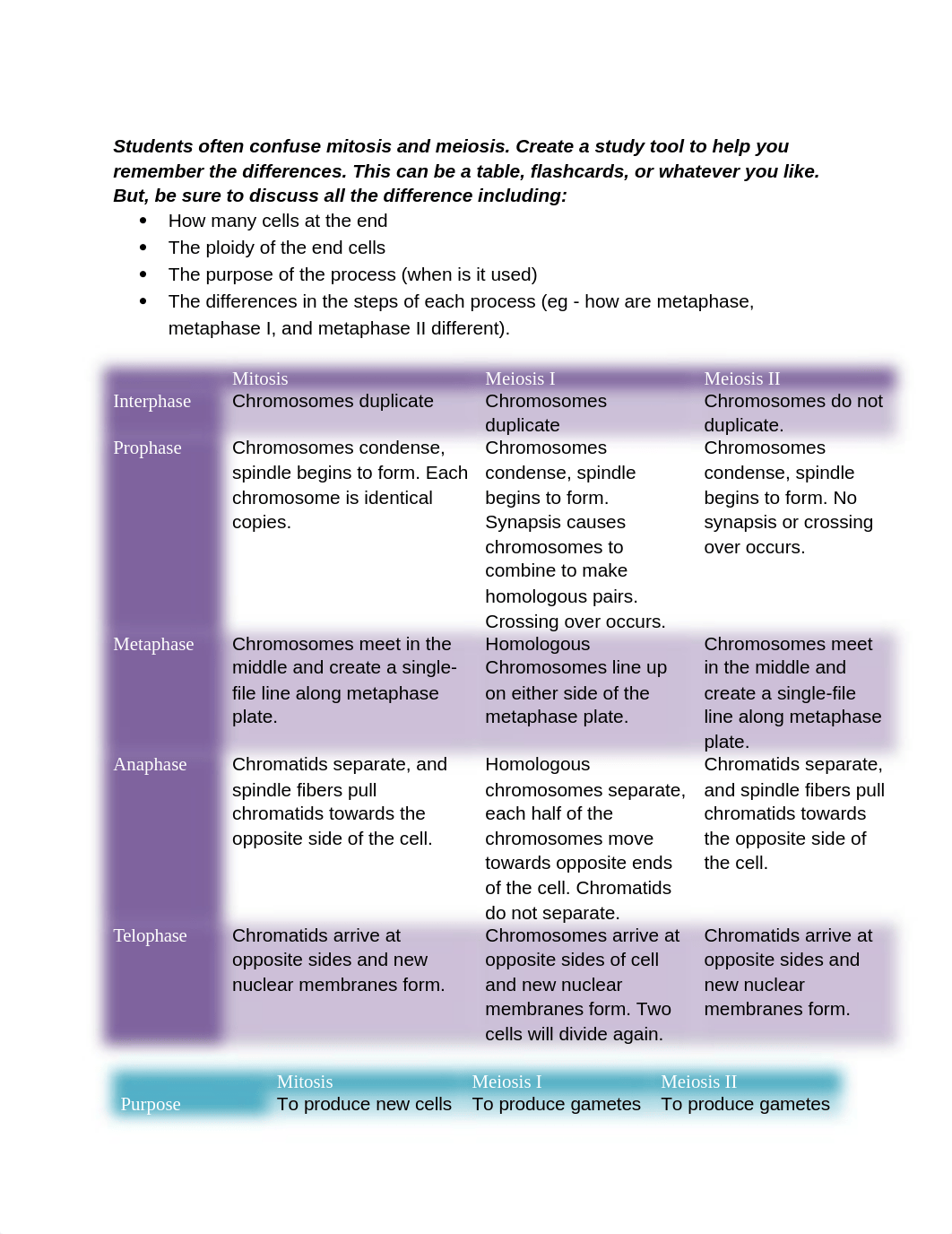 3.4 Cell Cycle WS- Christine Schefcik.docx_dy1k074m7rh_page3