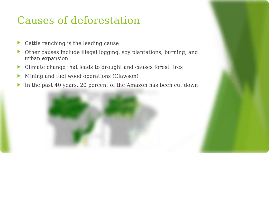 Deforestation of the Amazon Rainforest.pptx_dy1k63k0l7z_page3