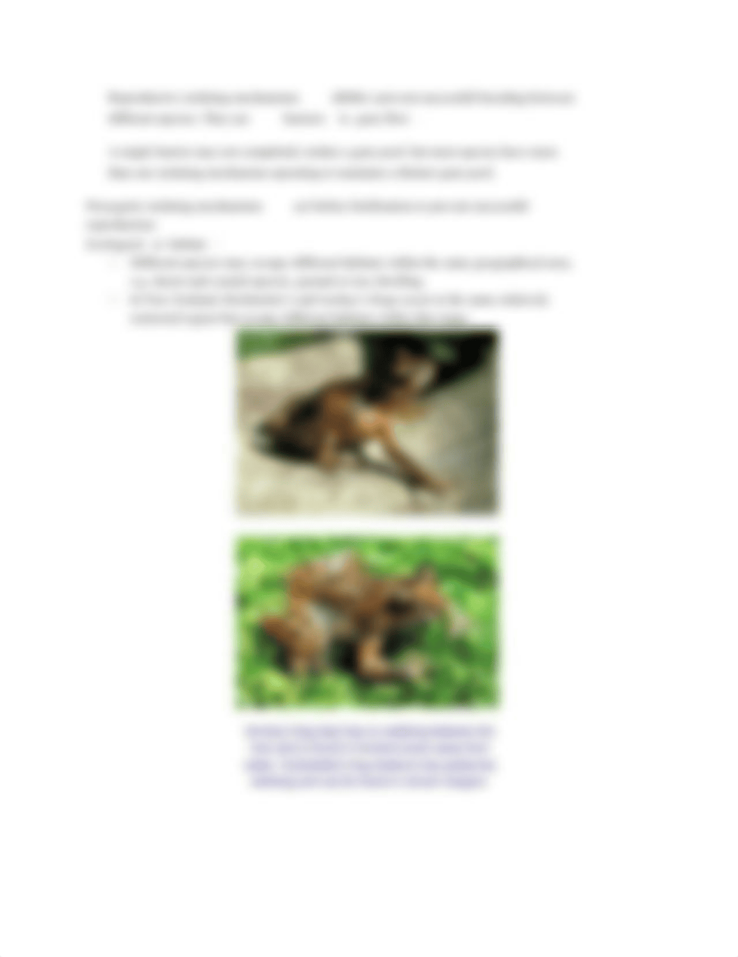 7E- Natural Selection, Adaptation, Diversity.pdf_dy1lddvyo1i_page2