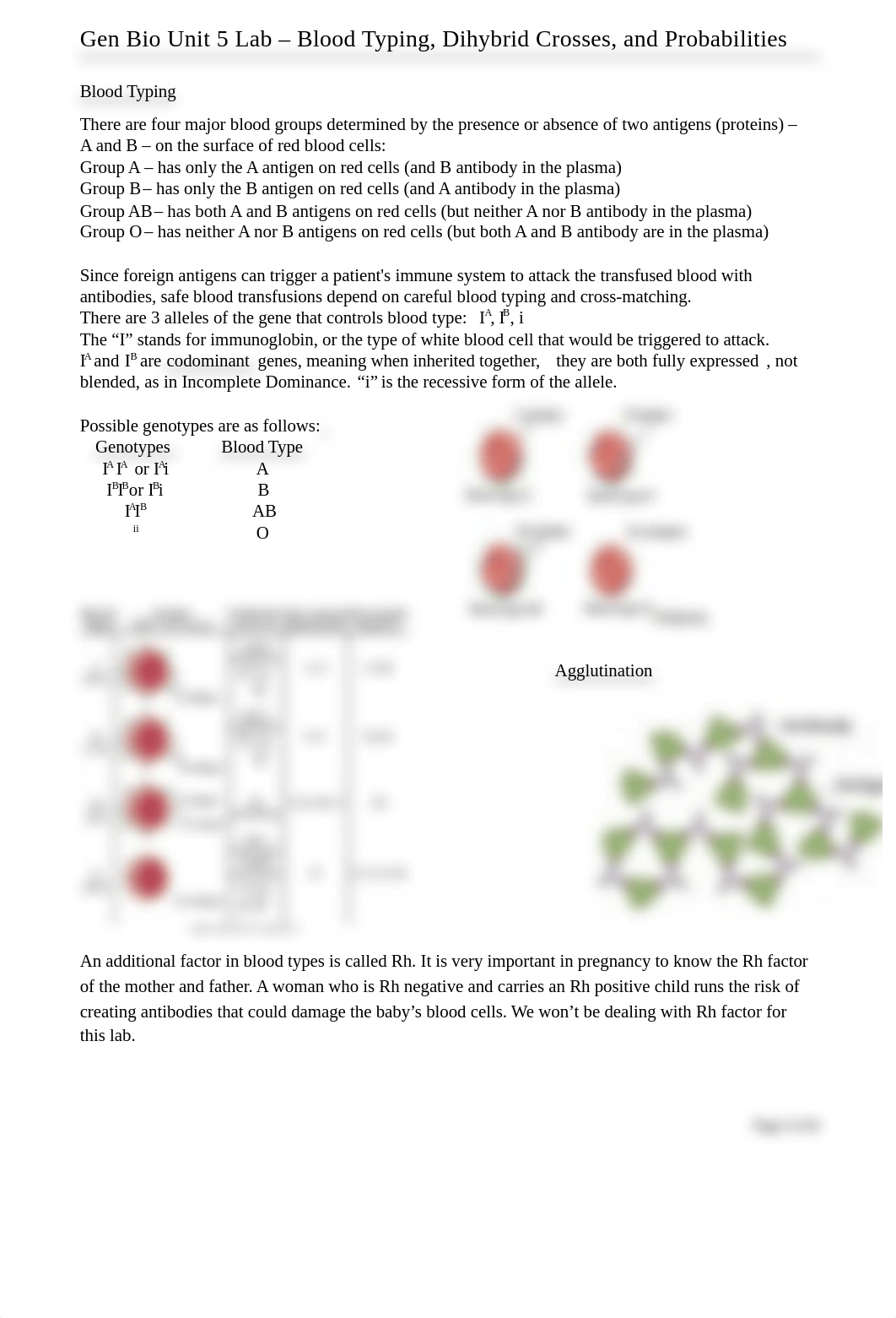 Heredity Lab 1.2- Dihybrid cross and Probabilities.docx_dy1mmo940g5_page1