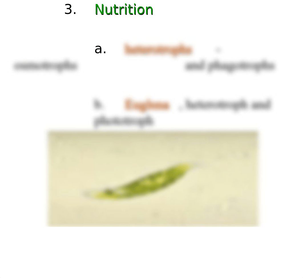 Ch.12 Eukaryotes Protozoa_dy1u79i85y1_page4