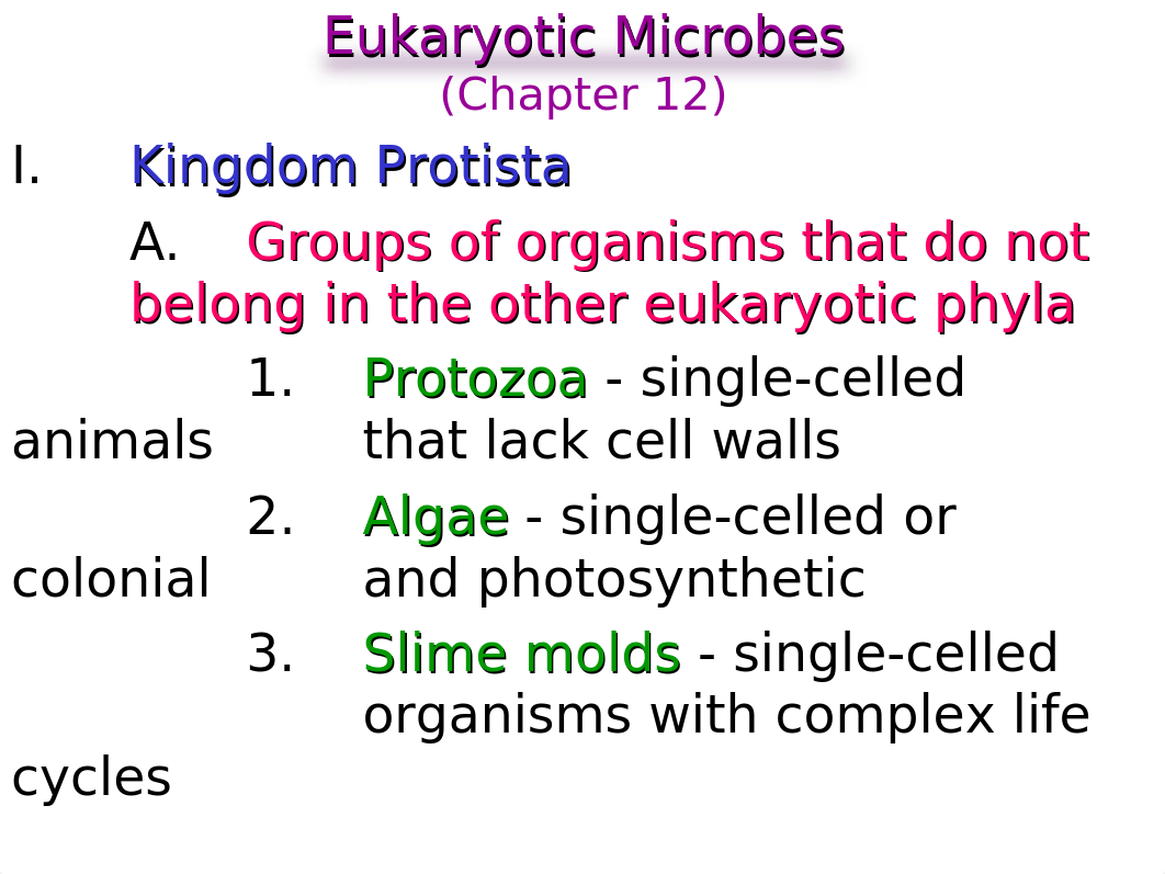 Ch.12 Eukaryotes Protozoa_dy1u79i85y1_page1