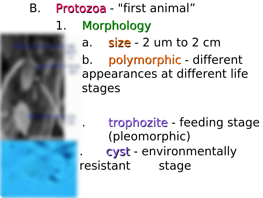 Ch.12 Eukaryotes Protozoa_dy1u79i85y1_page2