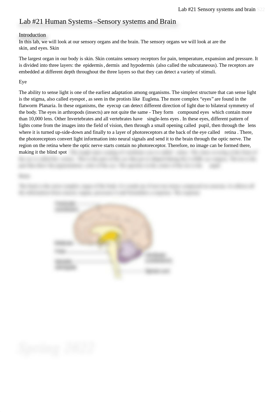 Lab #21 Sensory systems and brain.pdf_dy20dnbb3cu_page1