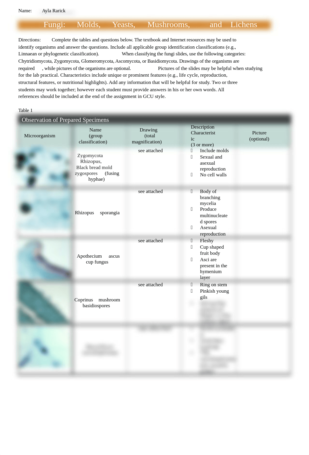 ARarick Lab 3.docx_dy229v3otkx_page1