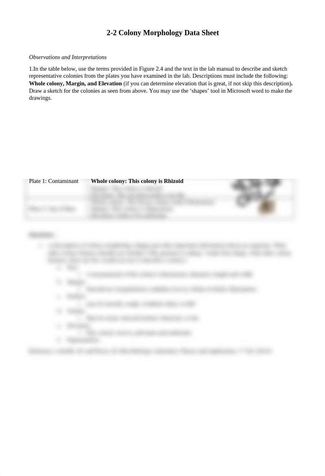 Colony Morphology Data Sheet.docx_dy22ci1qbml_page1