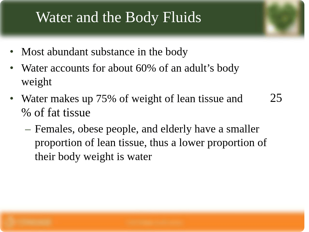 chapter 12  Water&majormineralsPDF1.pdf_dy2419sbmqs_page2