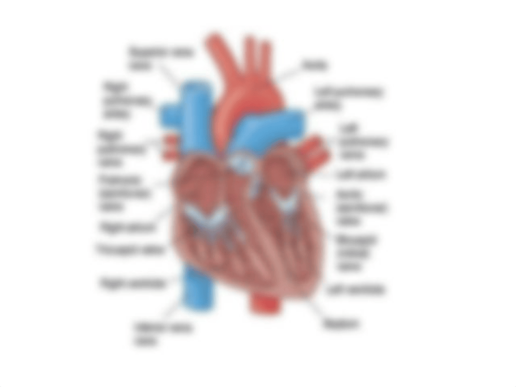 CARDIAC LECTURE 0108 (2)%5b1%5d.ppt_dy288fw7o5r_page5