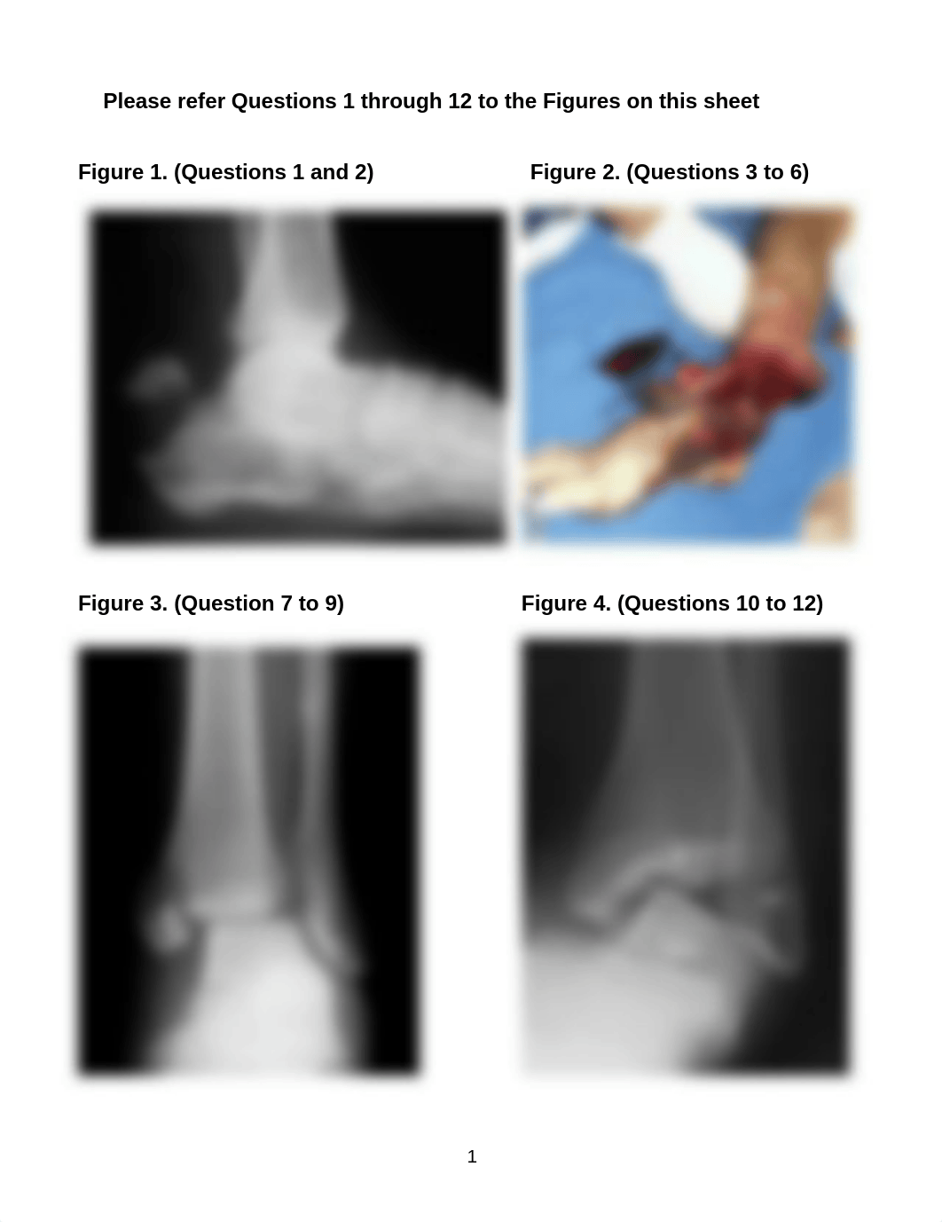 Trauma Examination 01.pdf_dy2bo6o5j3k_page1