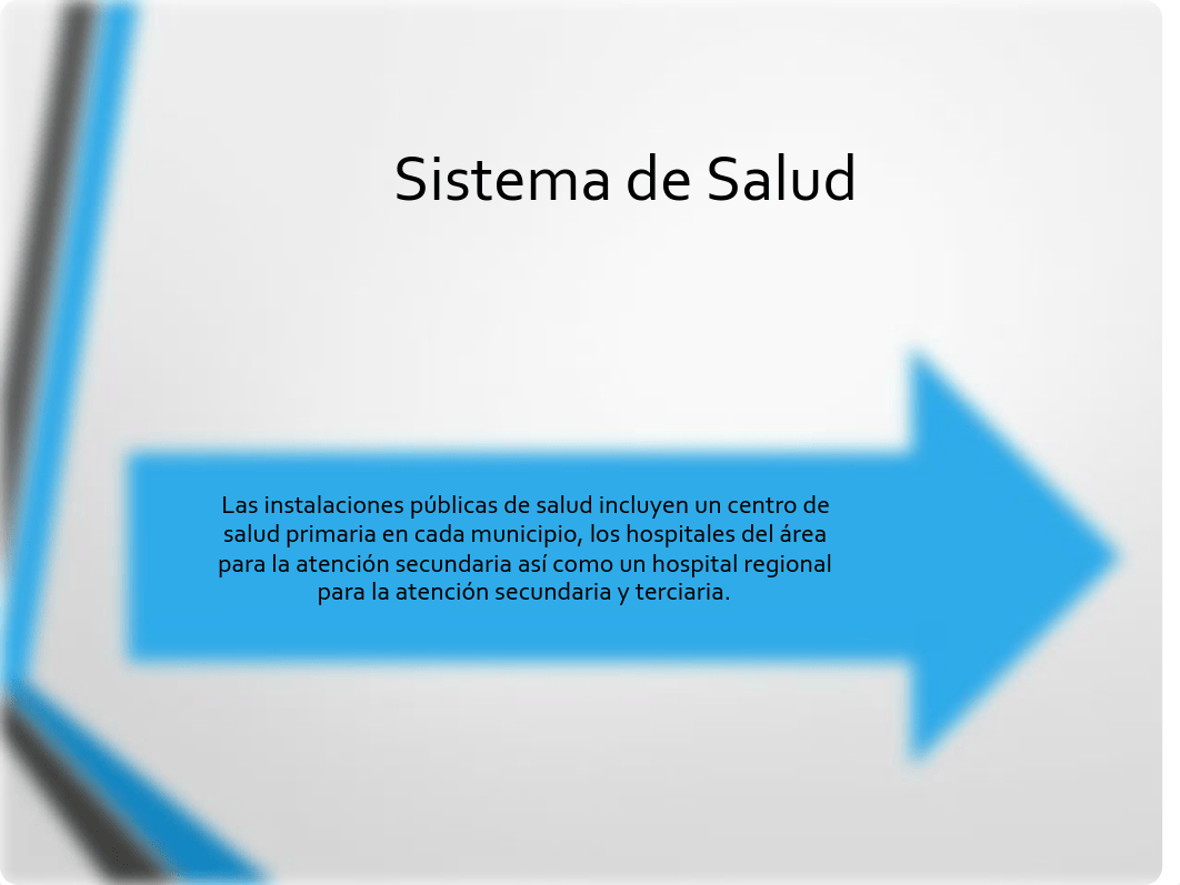 7. Sistema de Salud en Puerto Rico.pdf_dy2buf9km21_page3