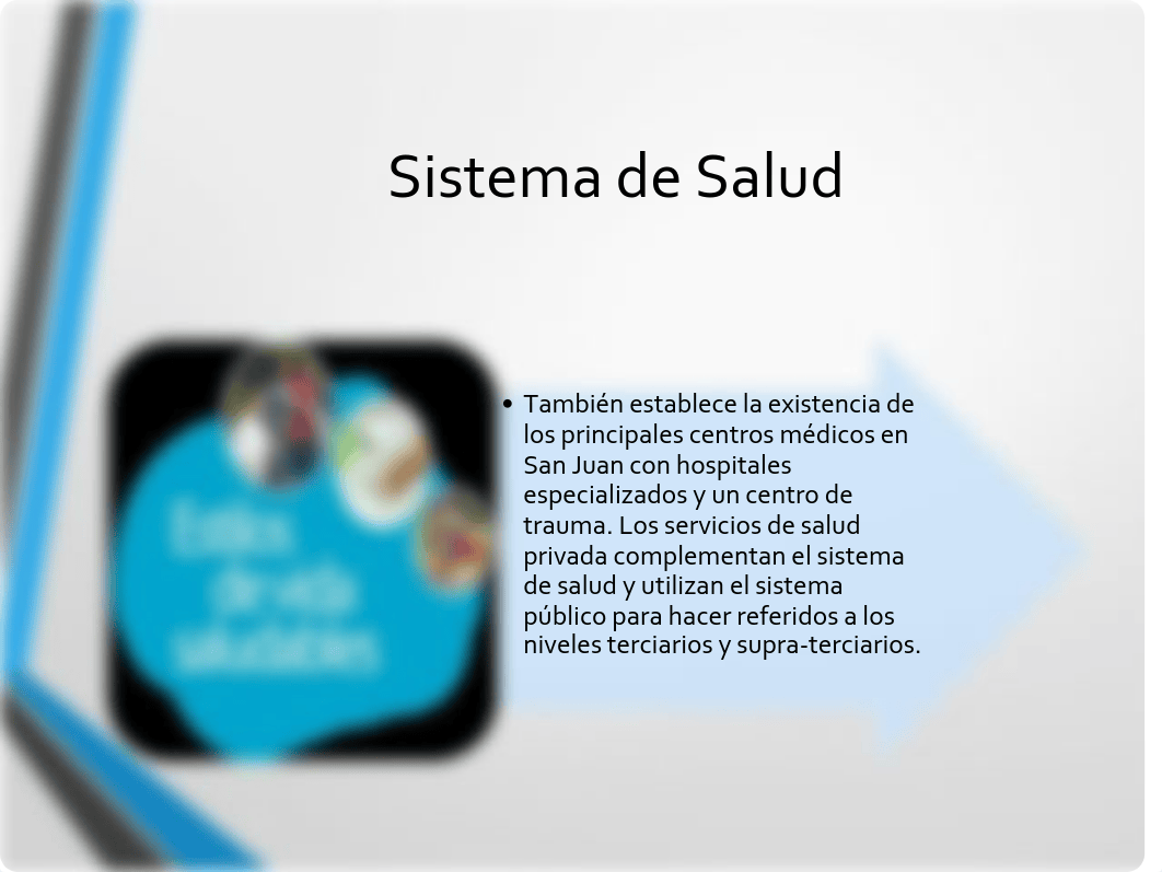 7. Sistema de Salud en Puerto Rico.pdf_dy2buf9km21_page4