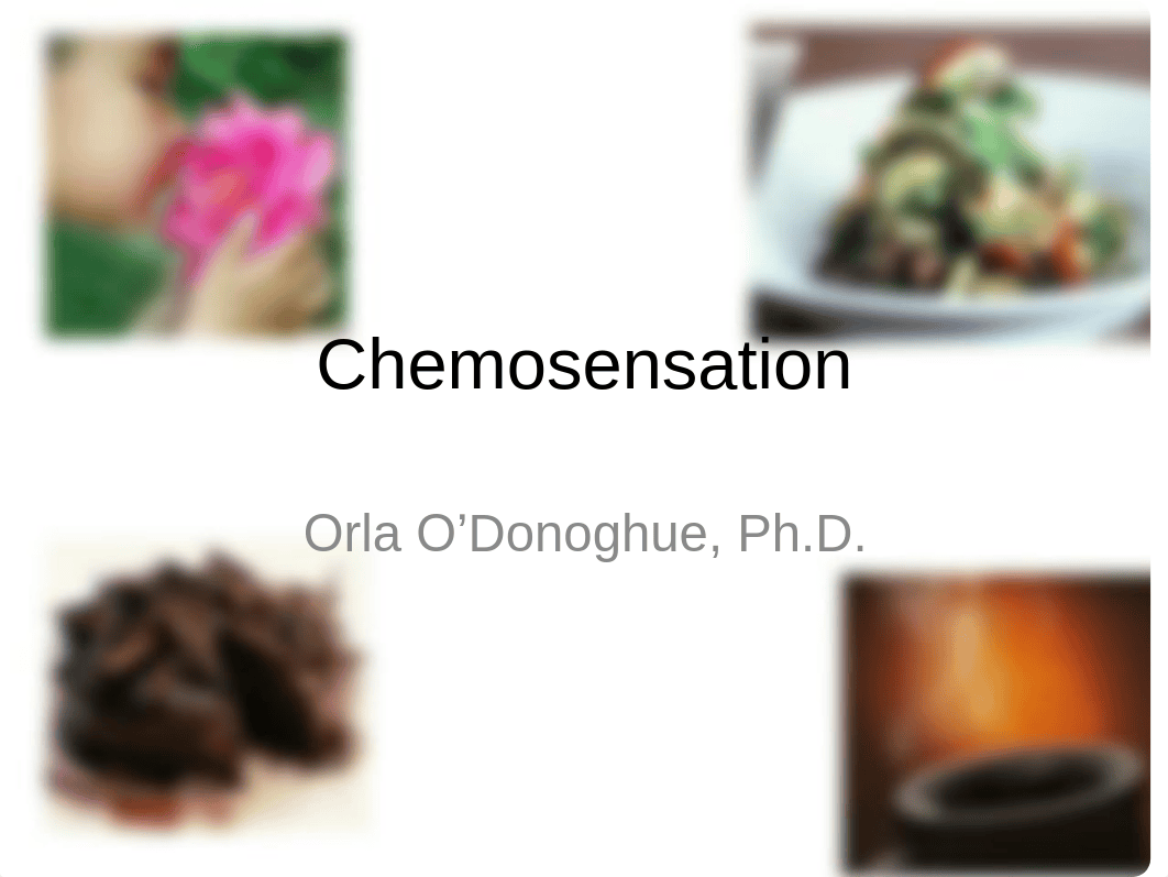 O'Donoghue.Chemosensation.311_dy2bytepitc_page1