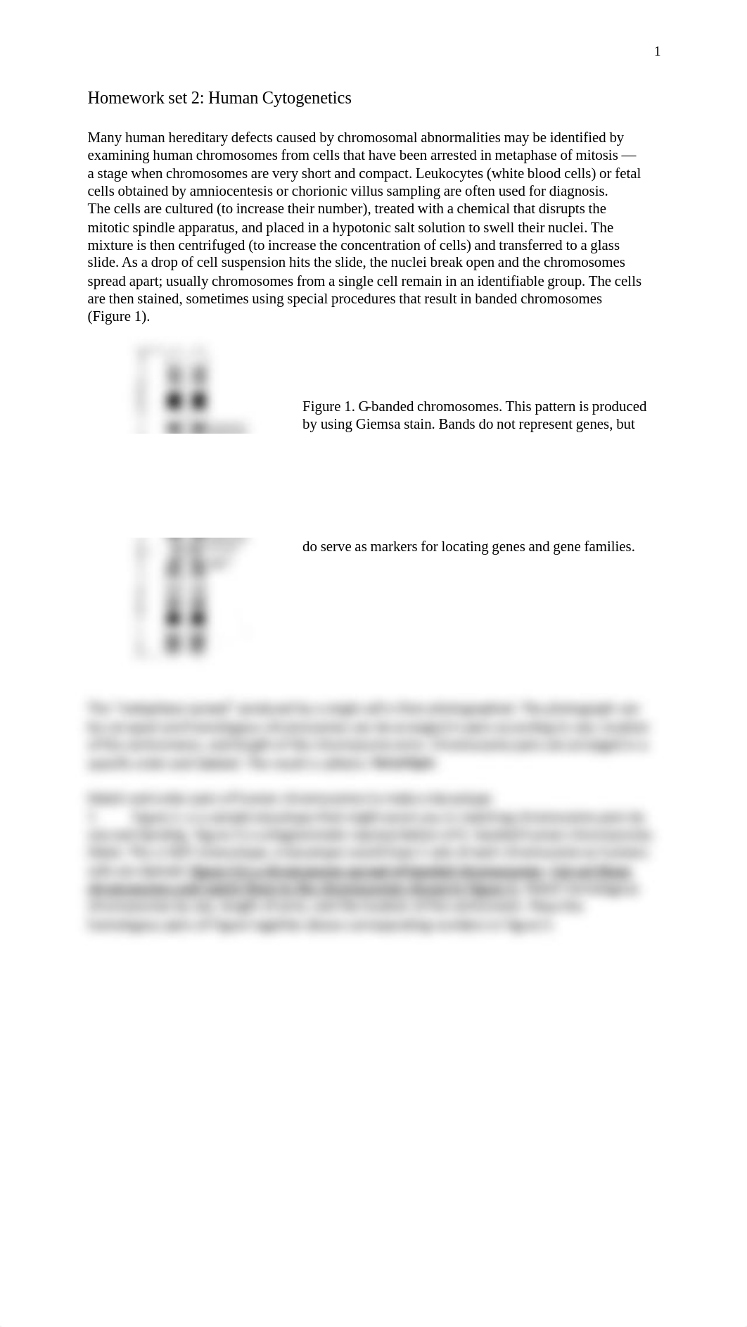 Homework 2a Set A- Cytogenetics.pdf_dy2fi6r6umy_page1