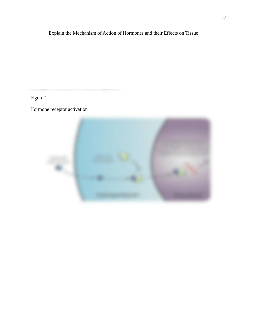 Explain the mechanism of action of hormones and their effects on tissue.docx_dy2ymhsv6es_page2