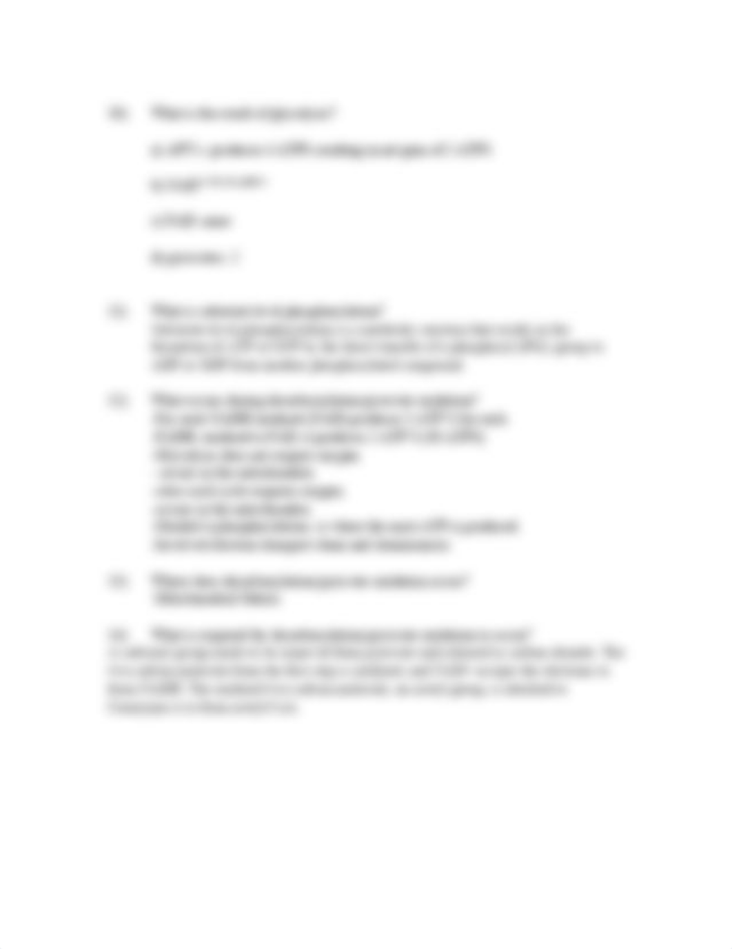 Study guide chapter 6 pdf.pdf_dy33rtnv3d9_page2