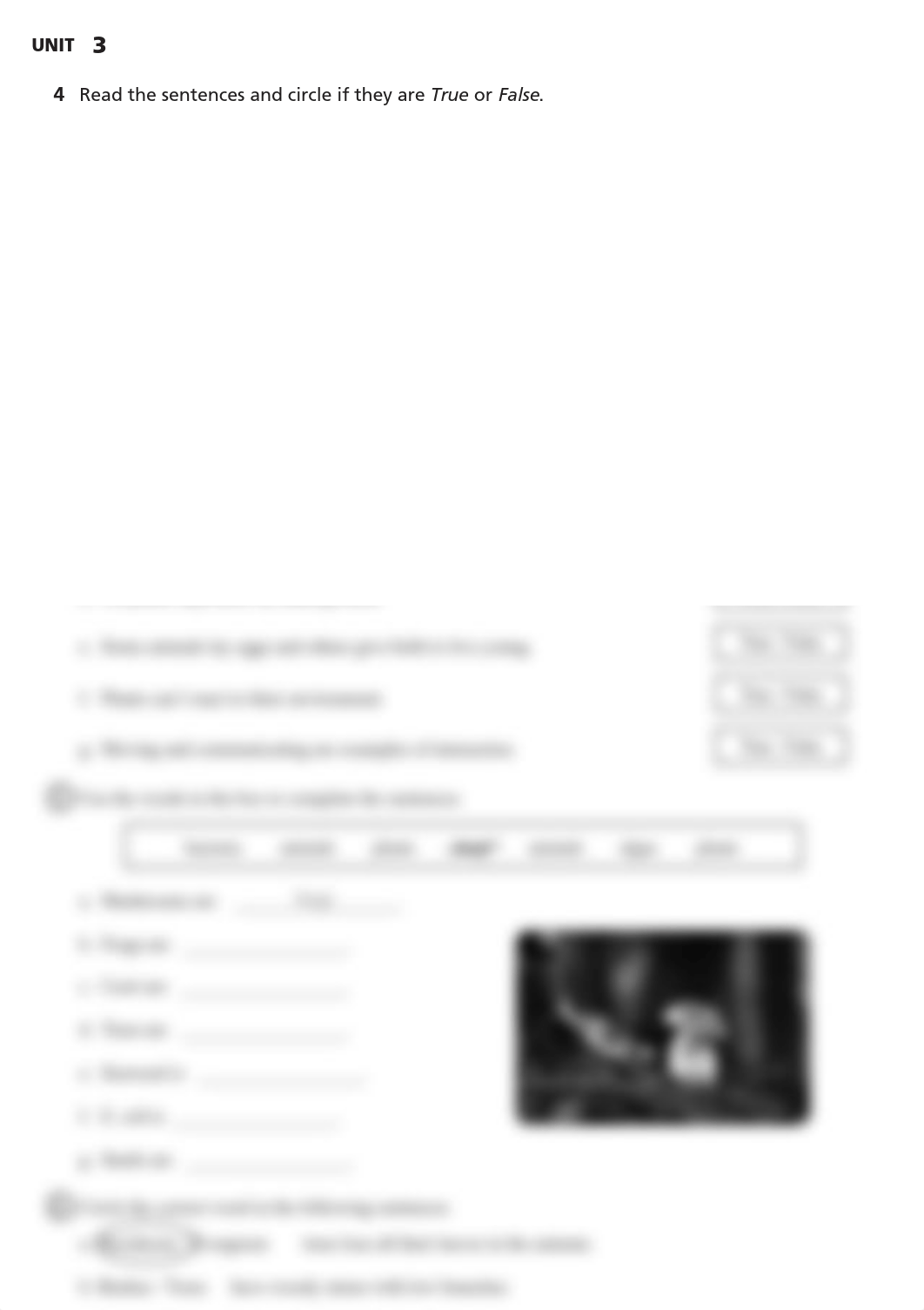 341570155-Diagnostic-Unit3-Natural-Science-4º.pdf_dy36l9lsyr3_page2