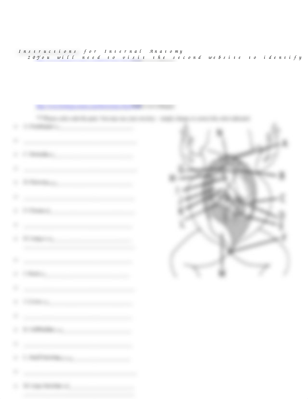 Frog Dissection Worksheet with virtual dissection.doc_dy377hgxcka_page2