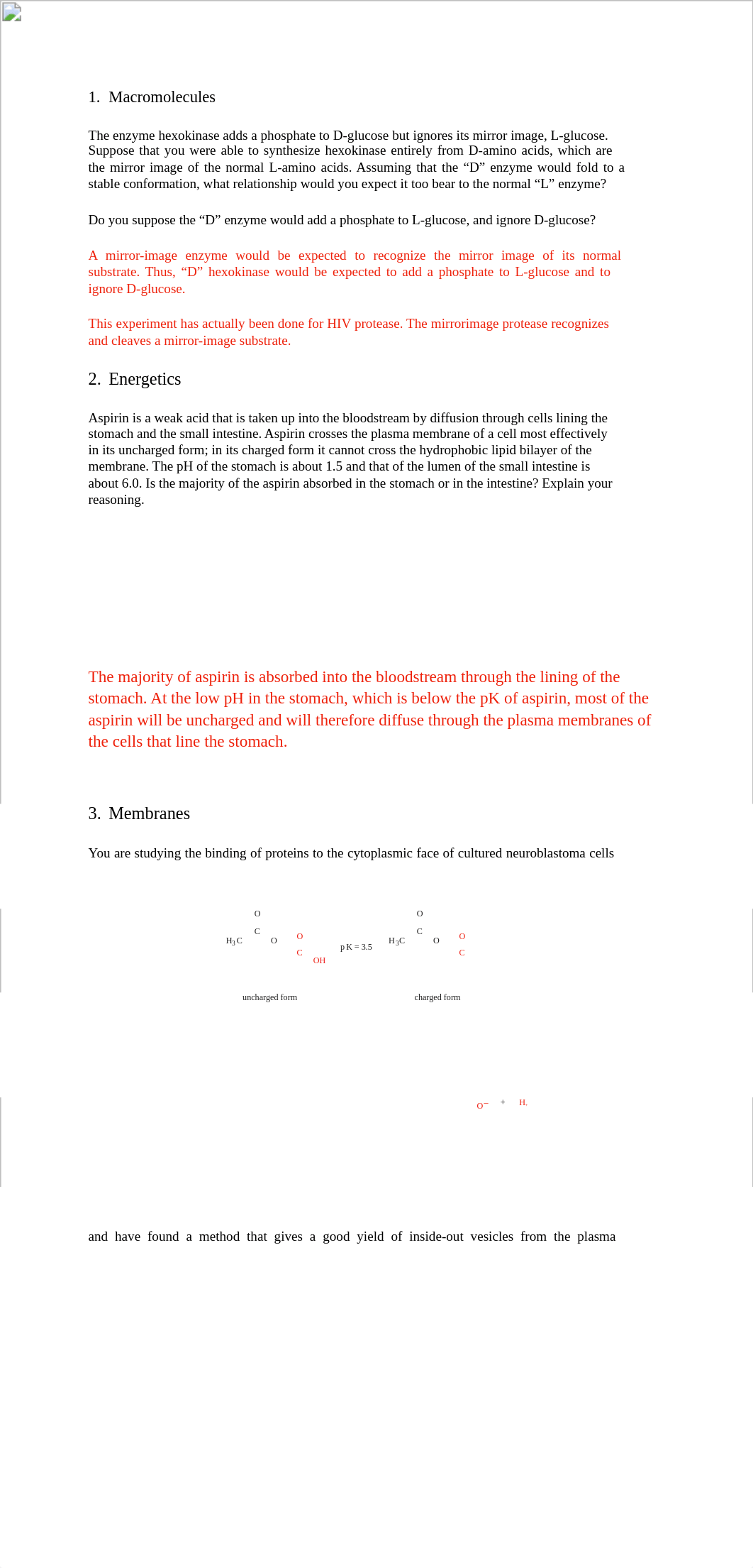 First Homework.pdf_dy378e73kza_page1