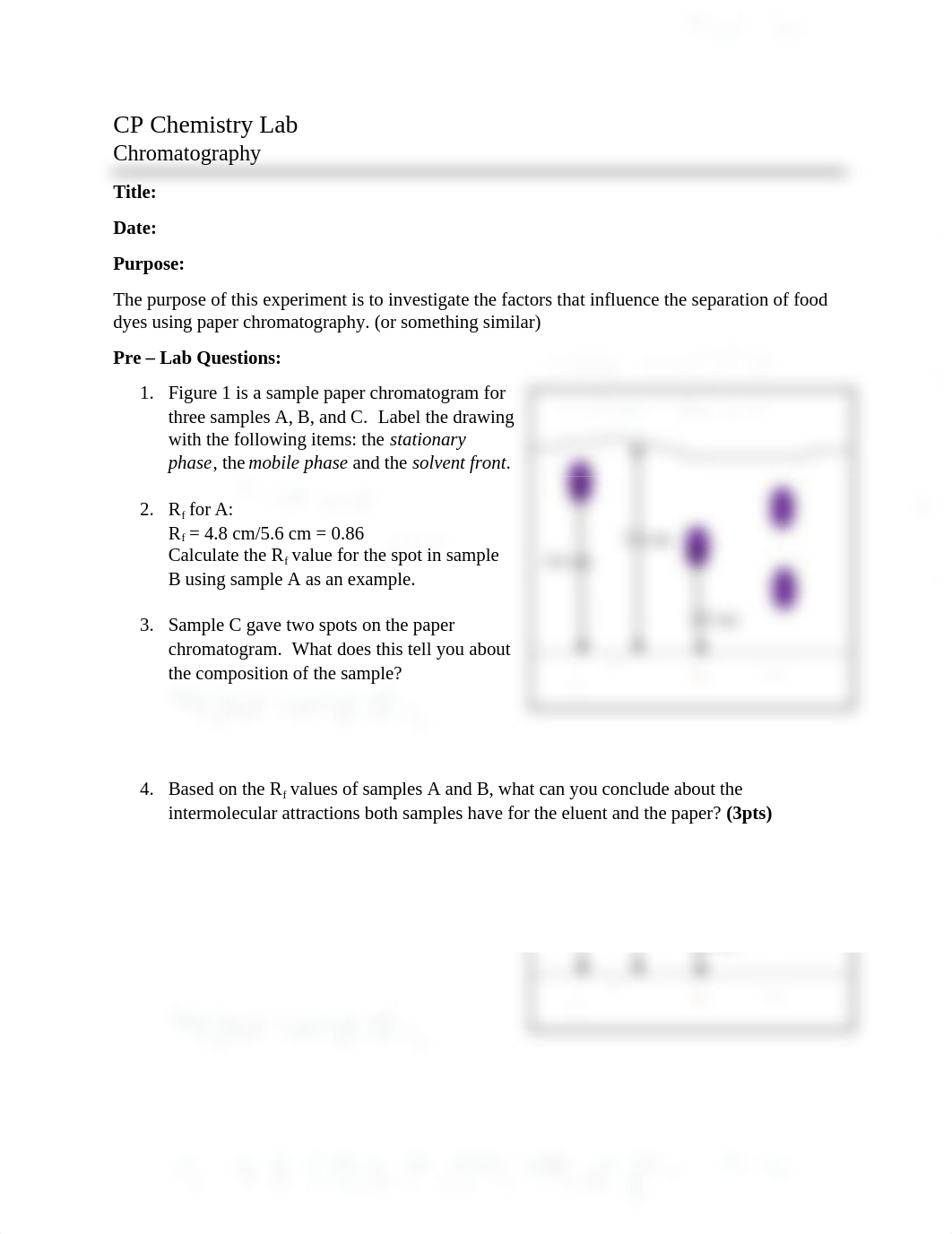 chromatography_lab_dry_lab_caseytolsma.docx_dy3azq1w6pa_page1