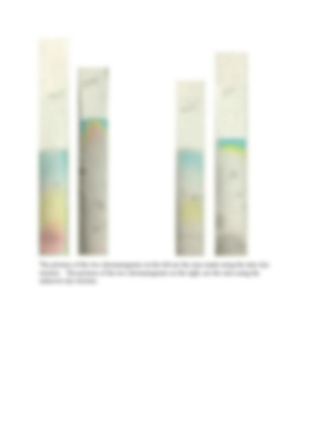 chromatography_lab_dry_lab_caseytolsma.docx_dy3azq1w6pa_page3