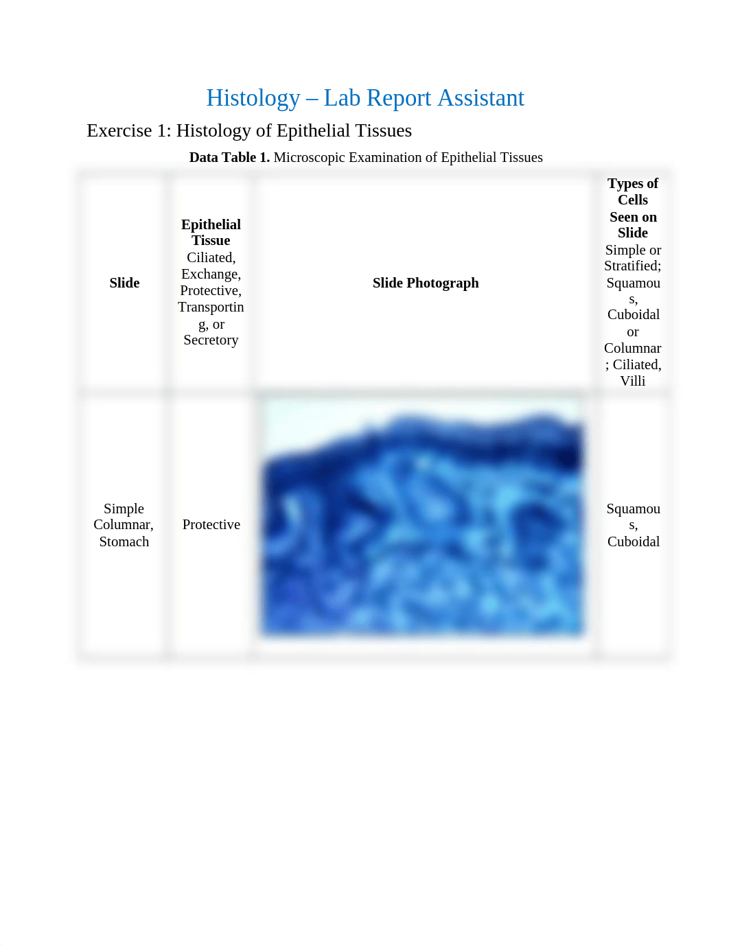 lab4_dy3j6vjtw1n_page1