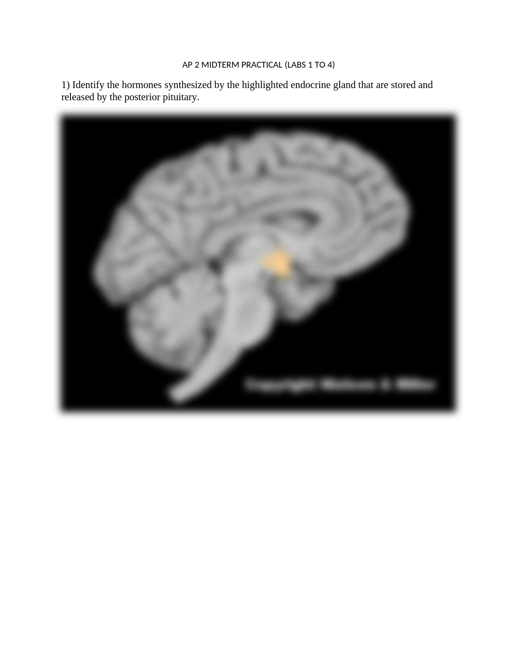 AP2 MIDTERM PRACTICAL (LAB EXERCISES 1-4) - QUESTIONS.docx_dy3ju69vc0r_page1