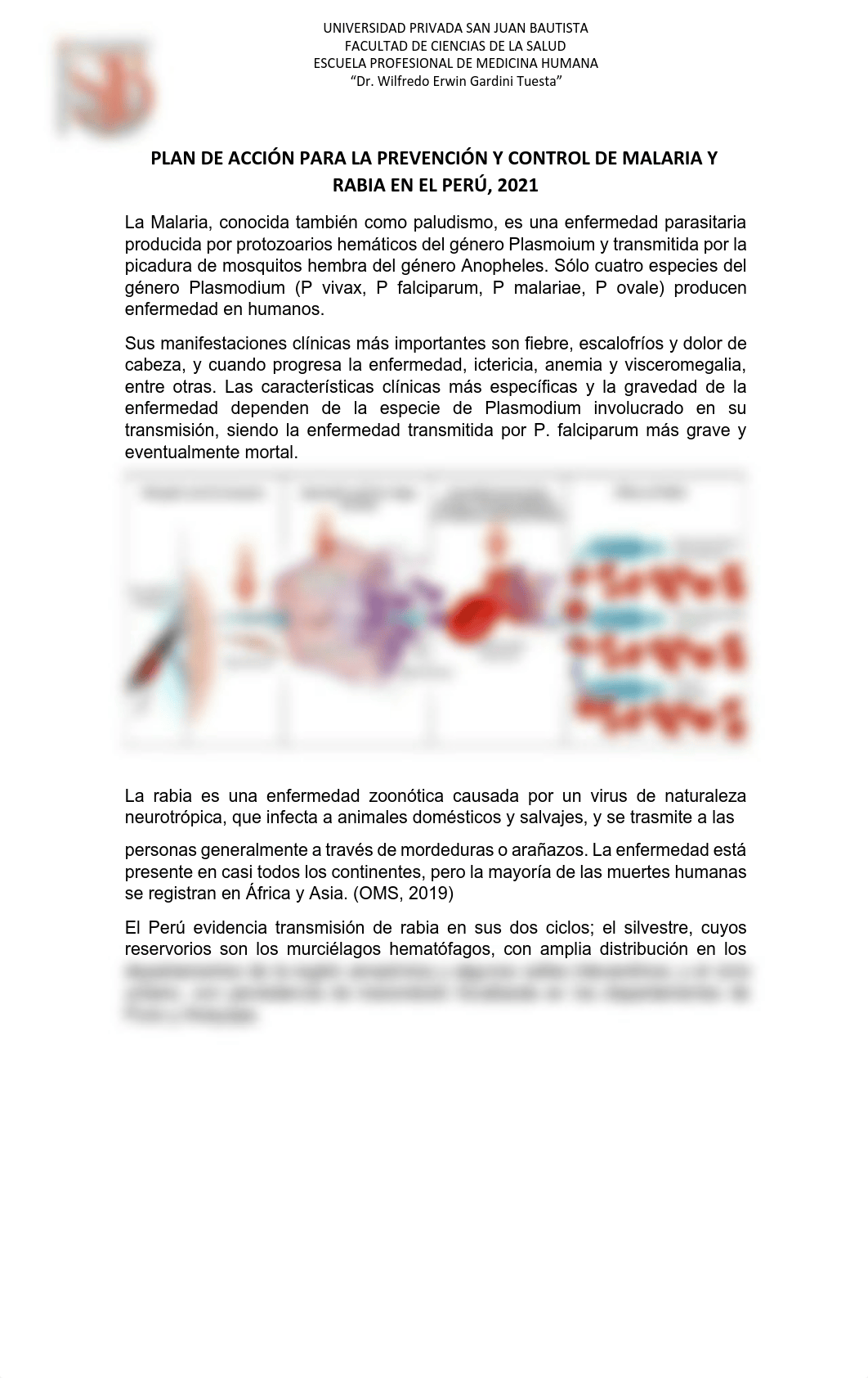 GAMERO ARANA, MANUEL DAVID - PRÁCTICA N°14 - EPIDEMIO. - 2021 - I.pdf_dy3k85hr30z_page2