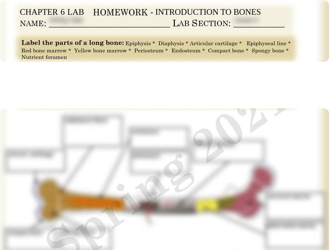 Anatomy and Physiology Chapter 6 Homework Fillable.pdf_dy429t7jp0z_page1