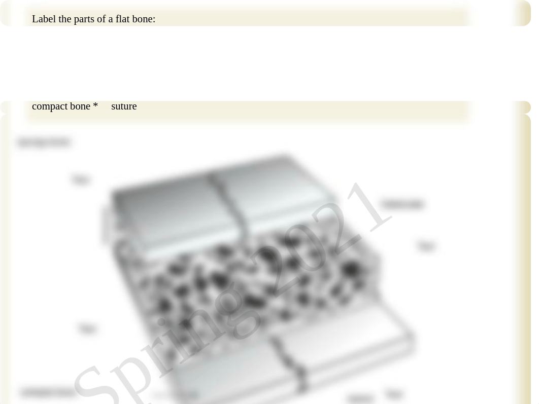 Anatomy and Physiology Chapter 6 Homework Fillable.pdf_dy429t7jp0z_page3