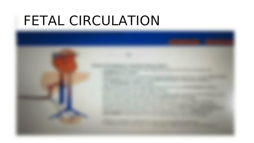 Maternal and Newborn Adaptation to Labor & Delivery Powerpoint (3).pptx_dy4bk53azfl_page5