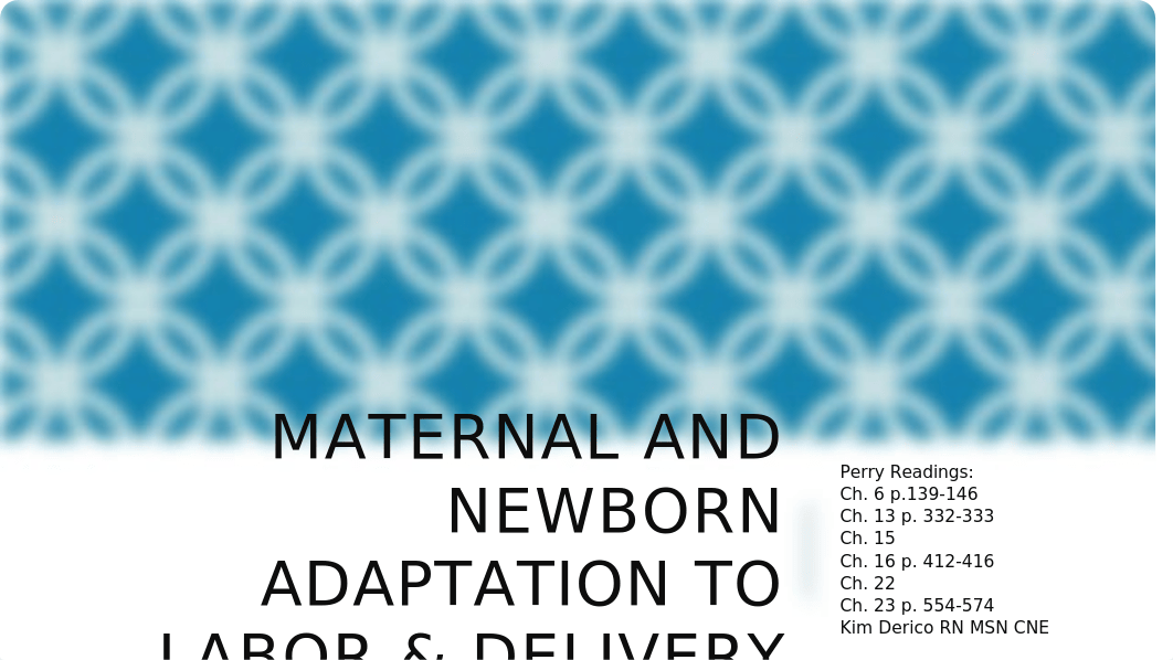 Maternal and Newborn Adaptation to Labor & Delivery Powerpoint (3).pptx_dy4bk53azfl_page1