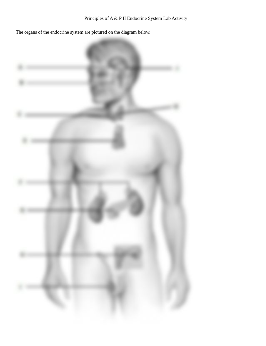 Endocrine System Lab Activity-2.doc_dy4dqvjm7f8_page1