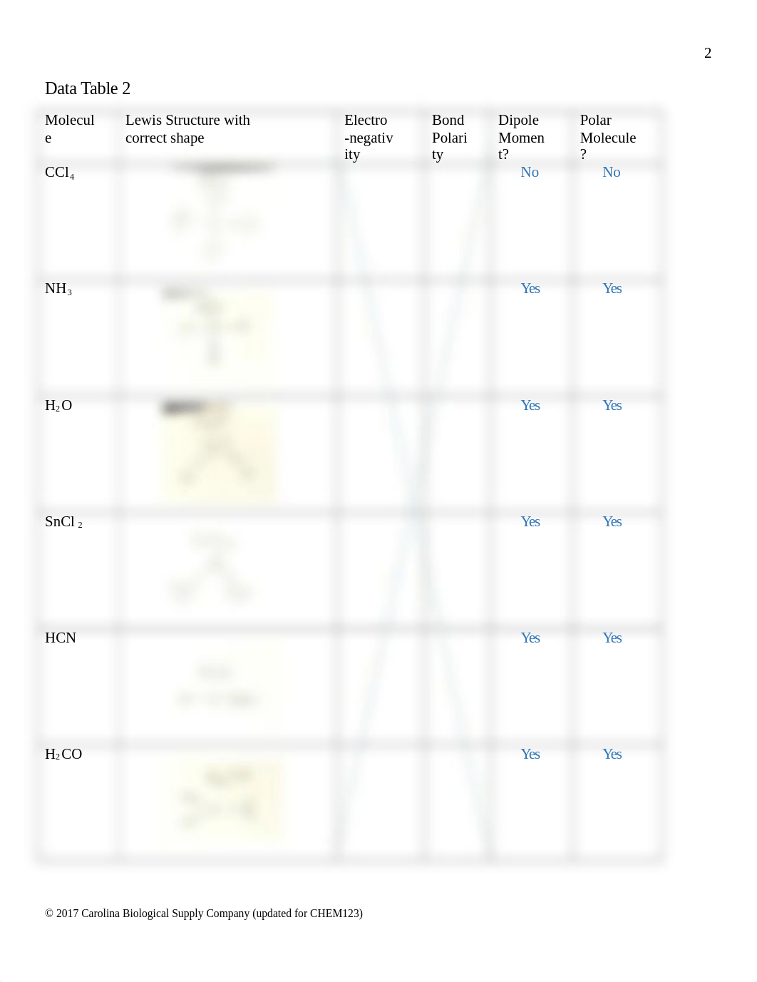 CHEM 123 Lab 1.docx_dy4hu3oqy06_page3