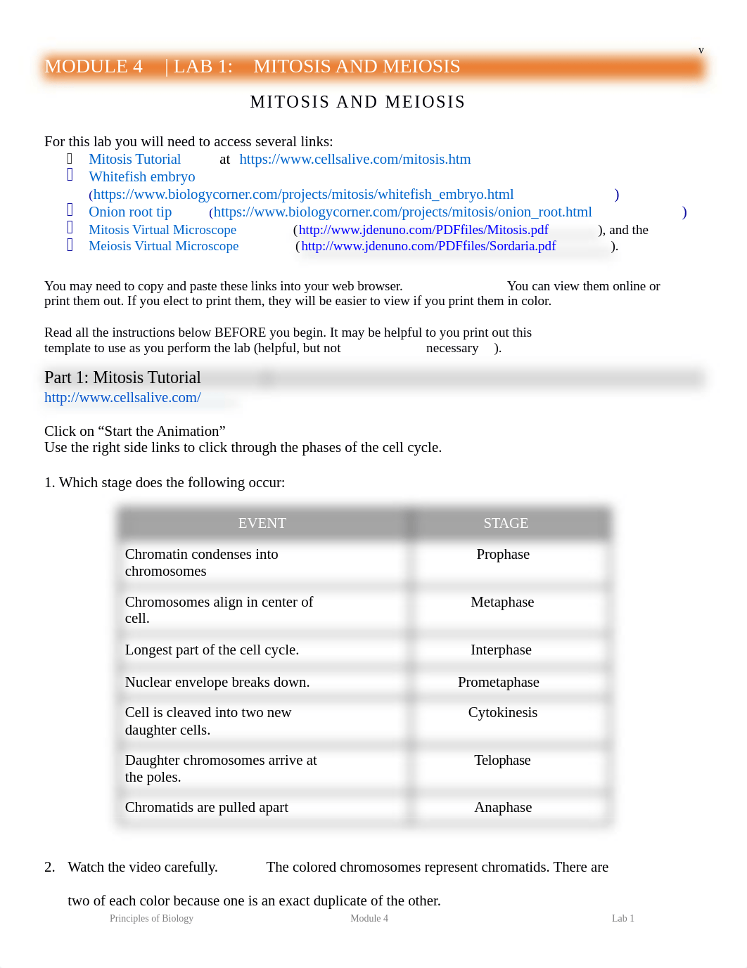 Module 4 Lab 1 MitosisMeiosis.docx_dy4kyi5dtxz_page1