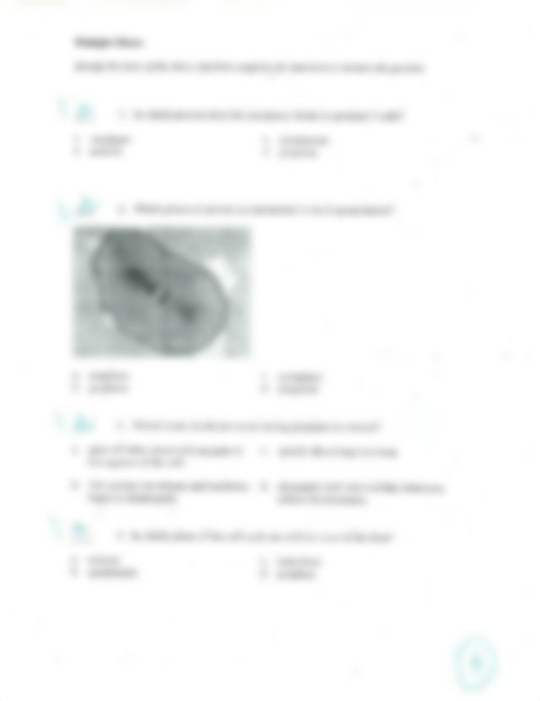 Genetic Material & Cell Division Quiz Key p2 SP 13_dy4opyuqjhr_page1