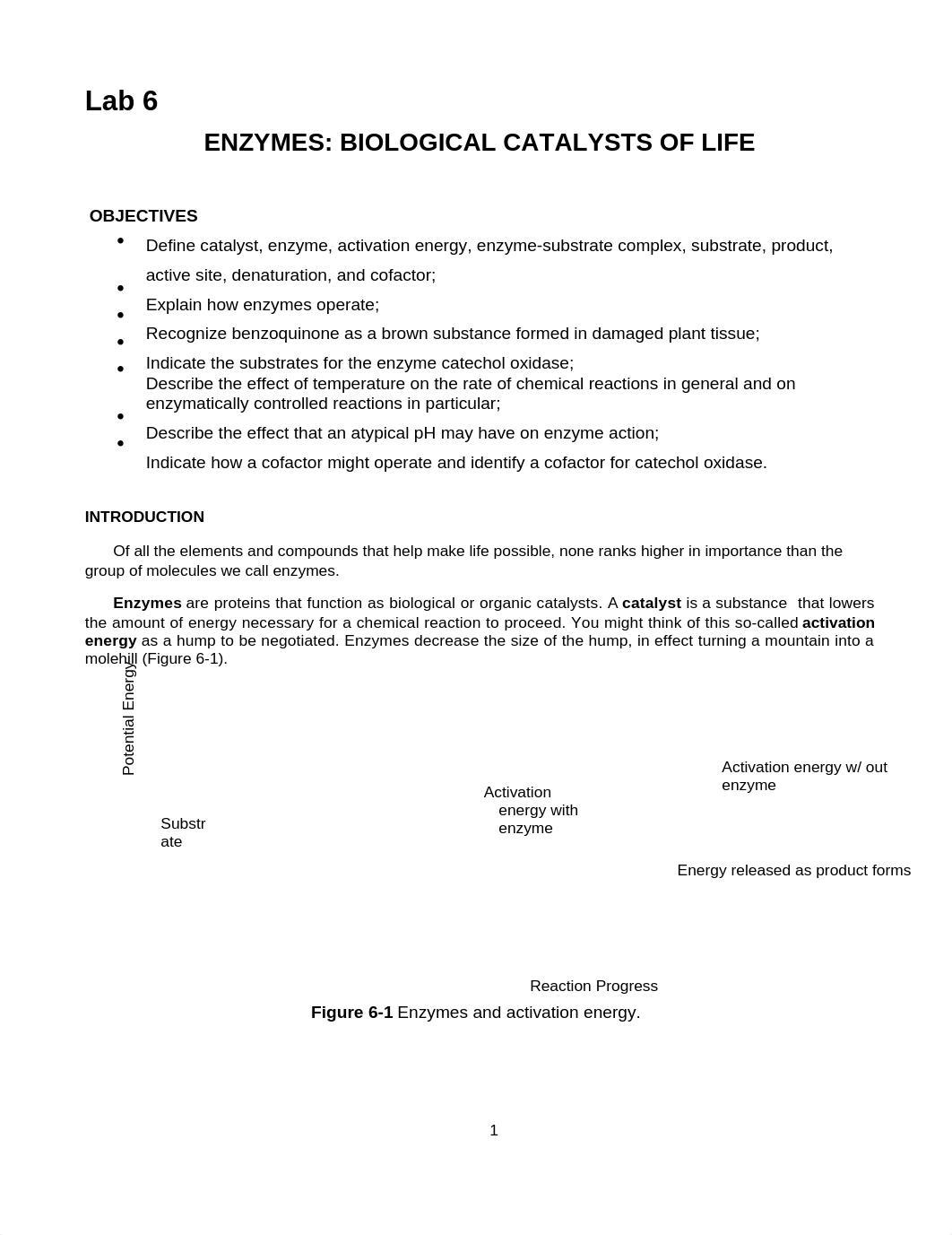 Lab 6 Enzymes.pdf_dy4syd7050x_page1