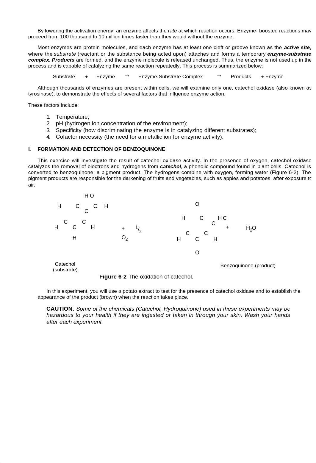 Lab 6 Enzymes.pdf_dy4syd7050x_page2