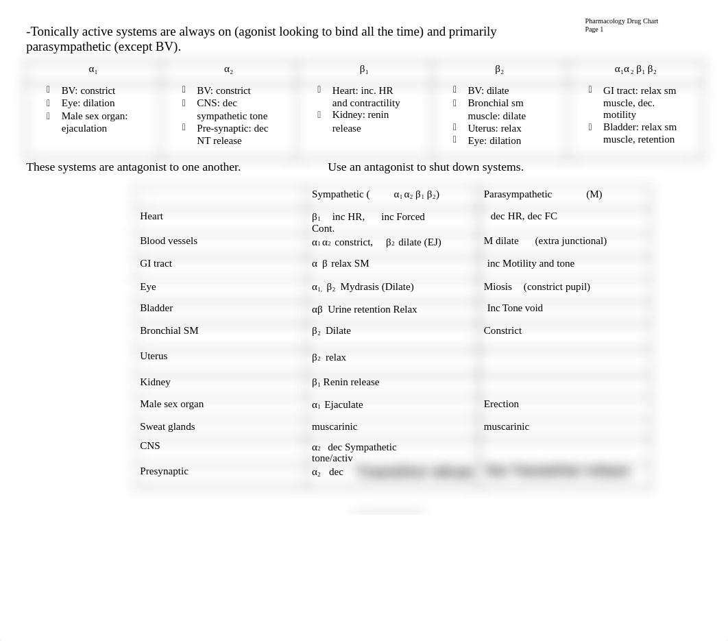 Drug Chart - Adrenergic.docx_dy4zezp1rva_page1