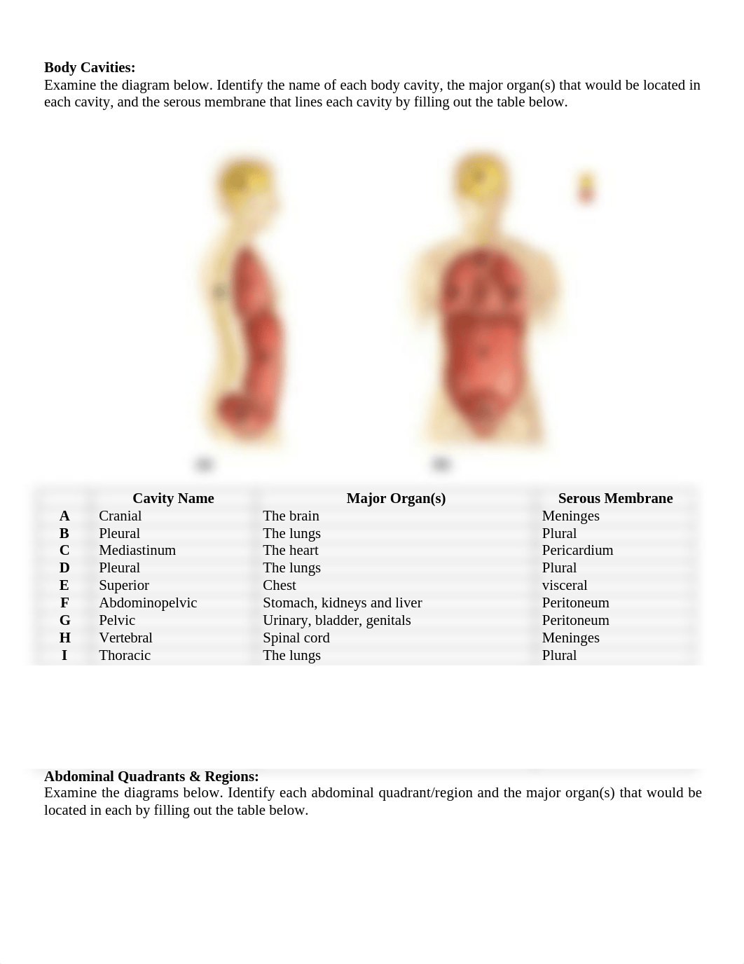 lab 1 done .docx_dy5233dhwiu_page2