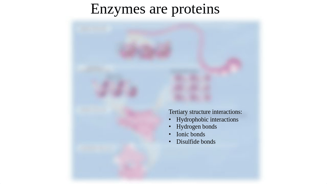 Enzymes Recorded Cohort Slides.pdf_dy530iler5o_page4