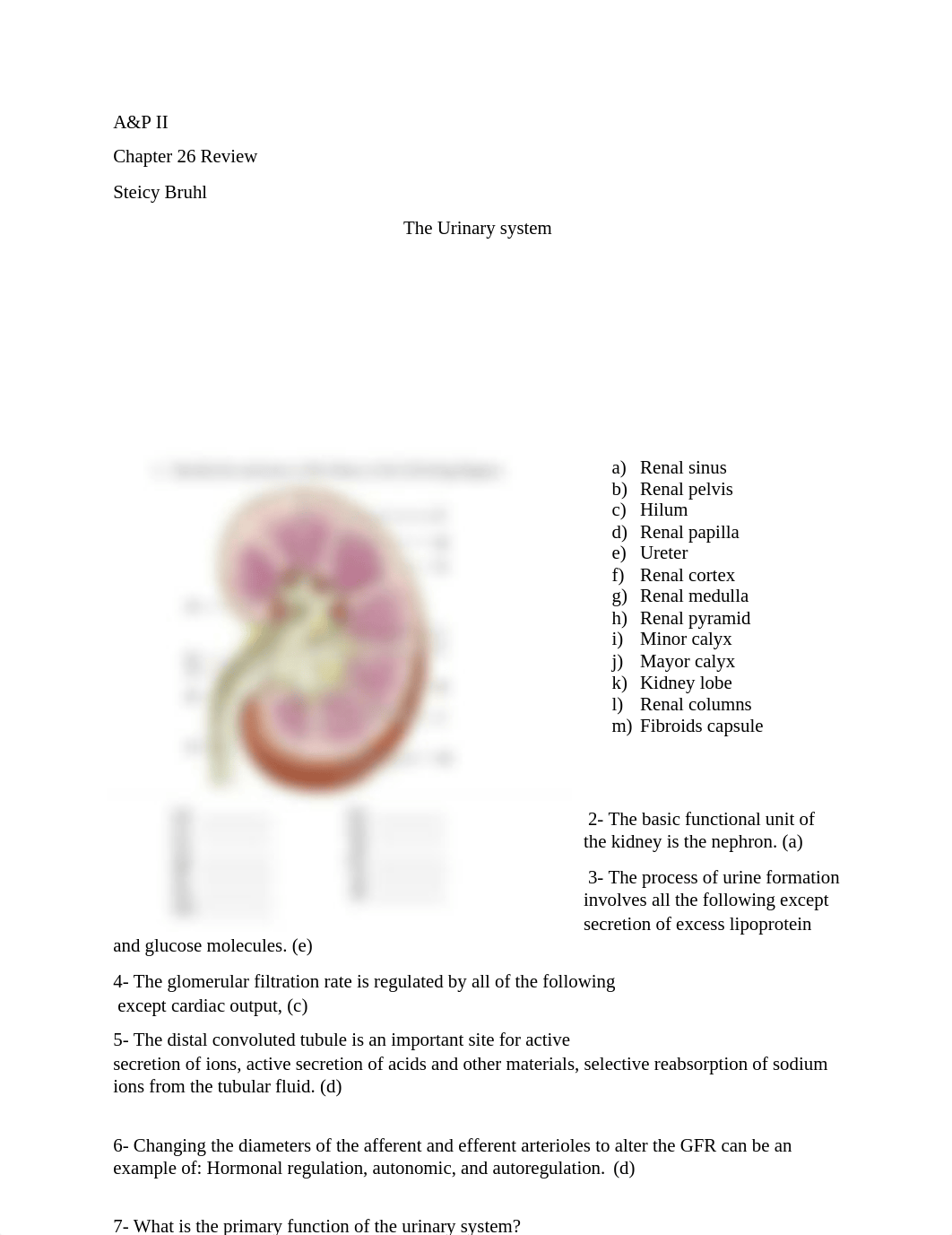 A&P II Chapter 26 Review.docx_dy53s189kk5_page1