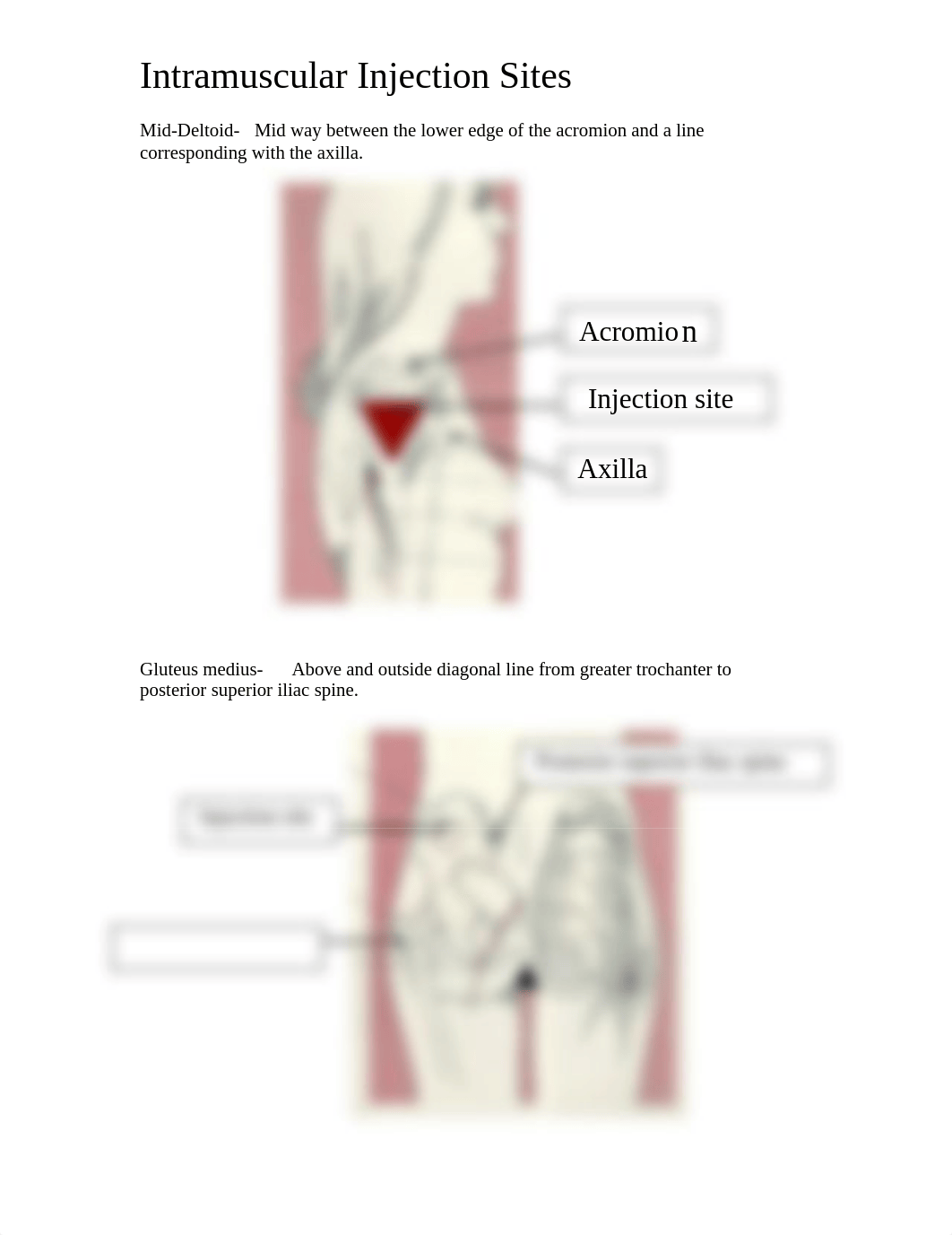 PHOTOS - Intramuscular Injection Sites.doc_dy57gd59tf1_page1