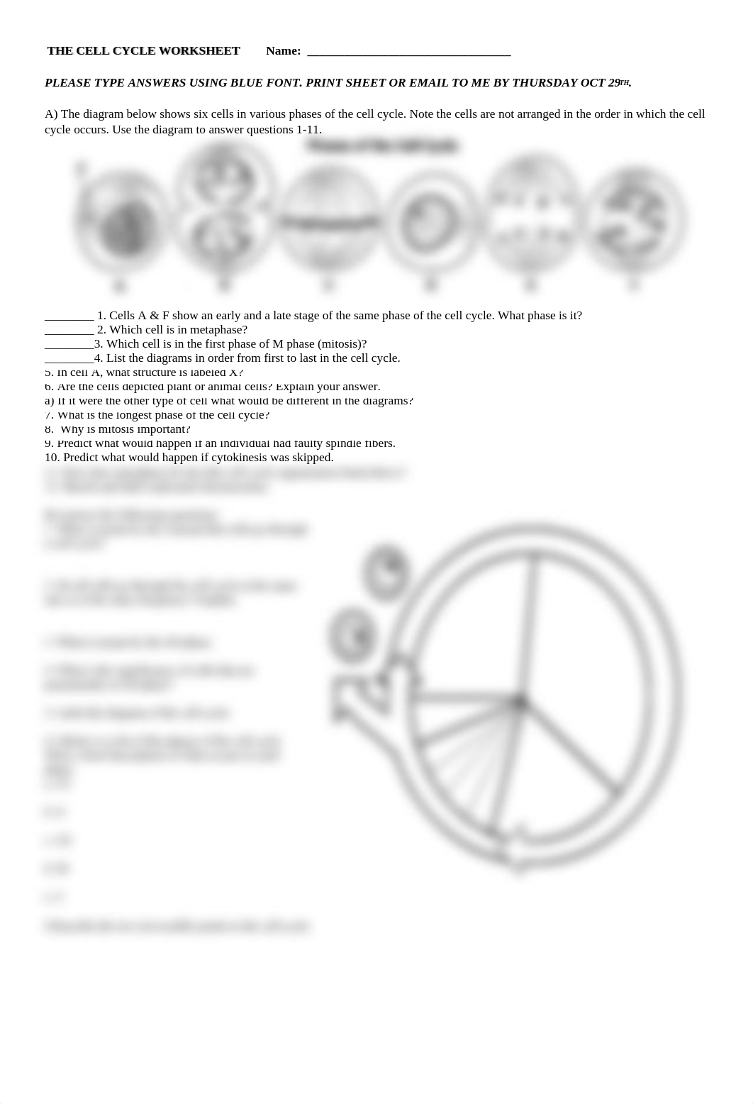 THE CELL CYCLE HW QUESTIONS.doc_dy5f11z1yth_page1