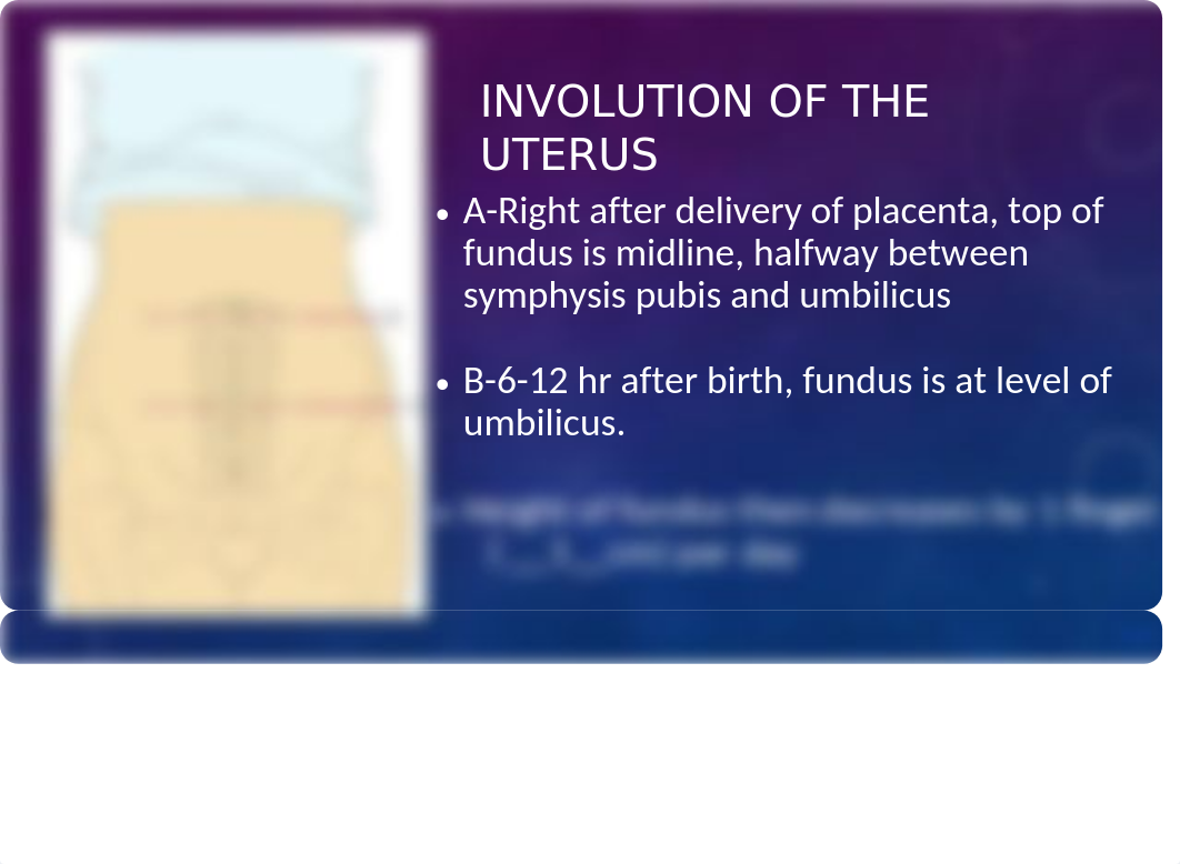 LP 6 Postpartum Care.pptx_dy5gwesyh94_page4