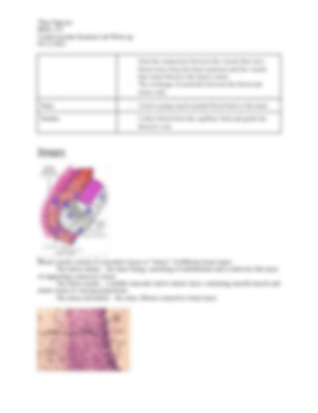 Cardiovascular Lab Write up.docx_dy5h2f3g9ev_page4