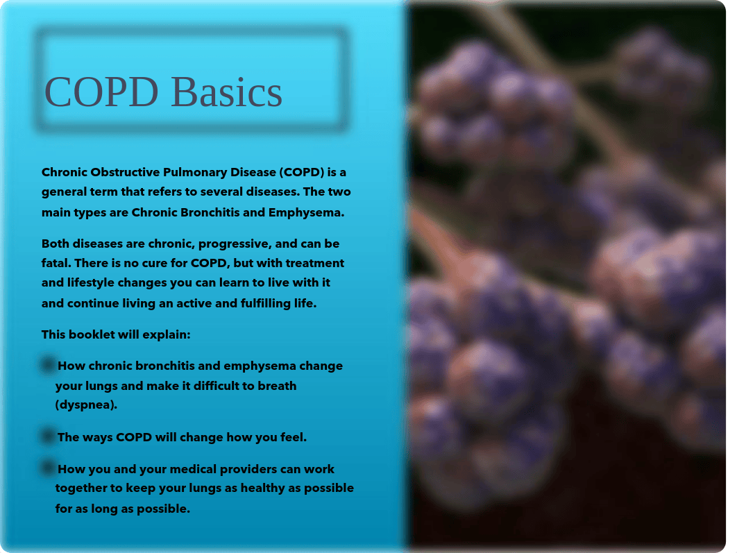 COPD Brochure.1.pdf_dy5izbnsrzr_page2