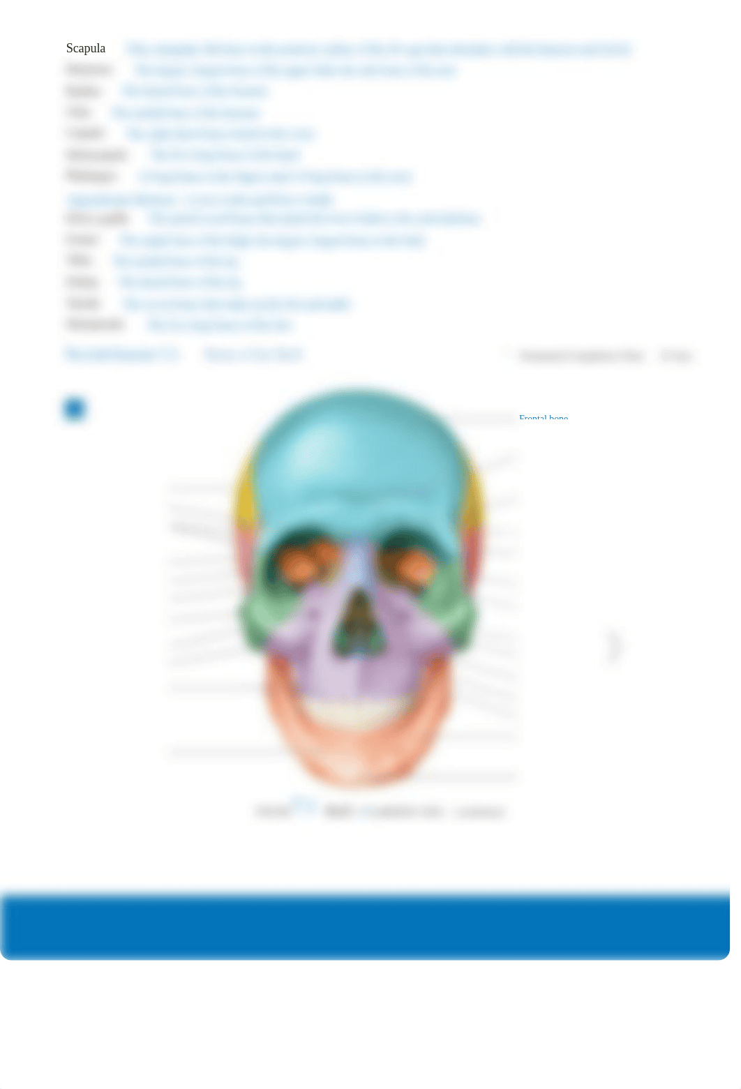 Lab C7 Skeletal System.pdf_dy62vospszw_page2