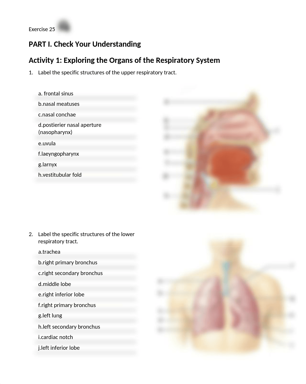 (Ashten) 12. Unit 12 laboratory exercise 25.docx_dy6lydw256w_page1