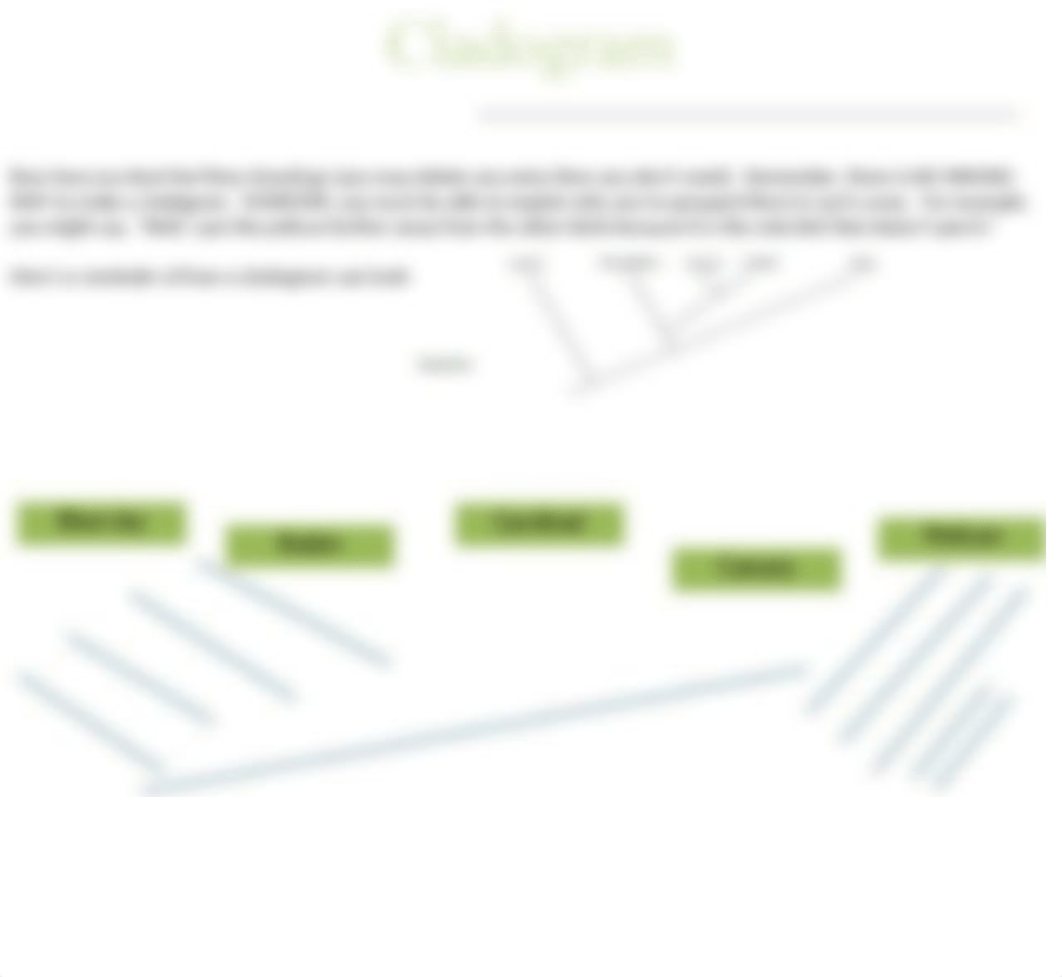 6_01 How to for Classification Project  Linnaean taxonomy and Cladogram.pptx_dy6z2v16wso_page4