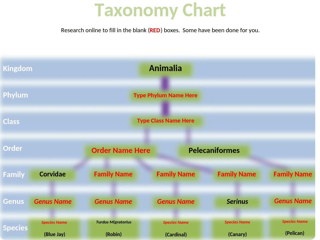 6_01 How to for Classification Project  Linnaean taxonomy and Cladogram.pptx_dy6z2v16wso_page3